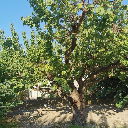 Villa Dans Le Sud Lunel  Esterno foto